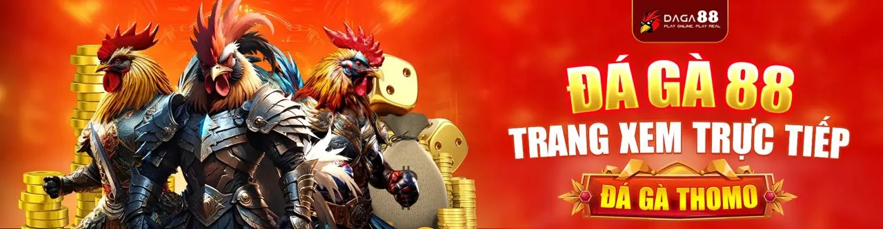 Bảo vệ quyền riêng tư dữ liệu a888 game